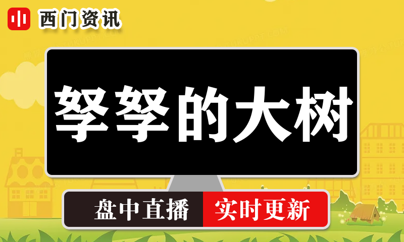 孥孥的大树 实时盘中直播圈子实盘资讯官方付费直播 钉钉群实时转发无延迟