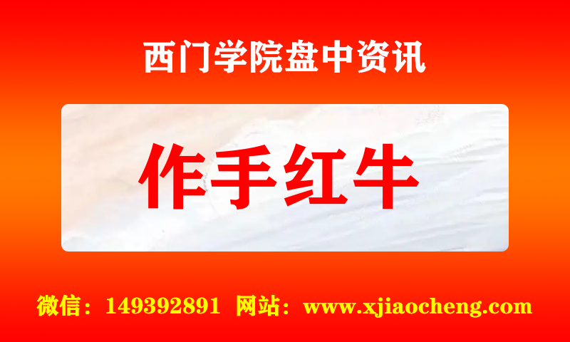 作手红牛 实时盘中直播圈子实盘资讯官方付费直播 钉钉群实时转发无延迟