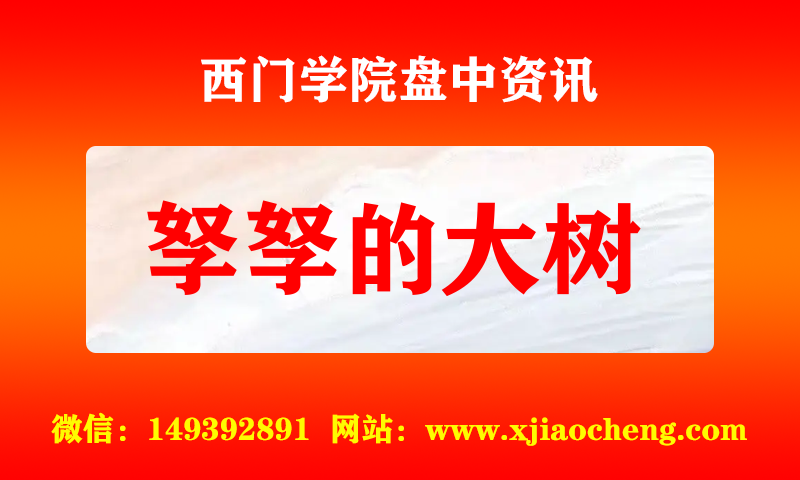 孥孥的大树 实时盘中直播圈子实盘资讯官方付费直播 钉钉群实时转发无延迟