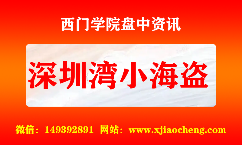深圳湾小海盗 实时盘中直播圈子实盘资讯官方付费直播 钉钉群实时转发无延迟