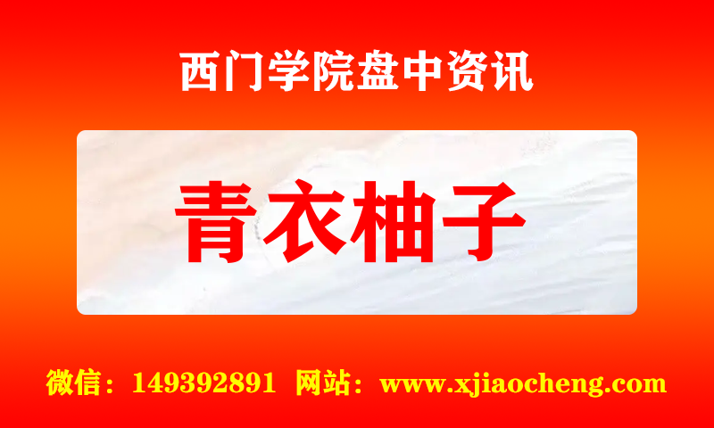青衣柚子 实时盘中直播圈子实盘资讯官方付费直播 钉钉群实时转发无延迟