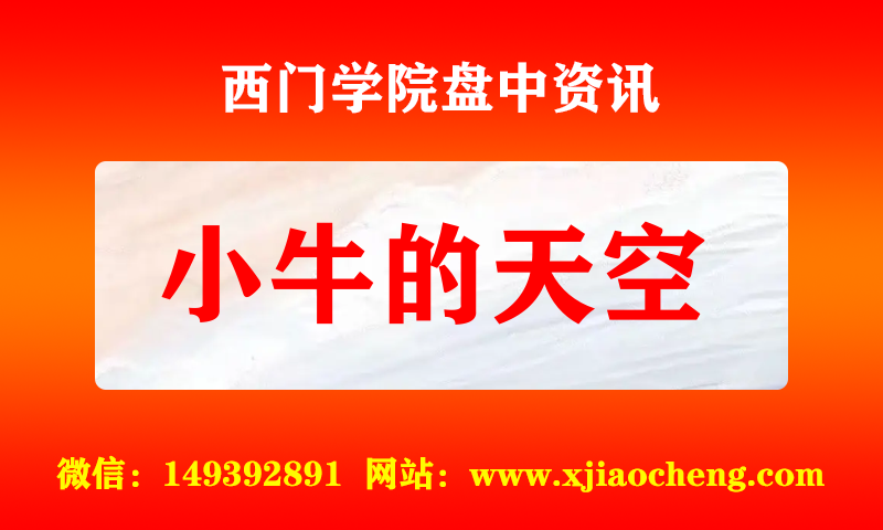 小牛的天空 实时盘中直播圈子实盘资讯官方付费直播 钉钉群实时转发无延迟