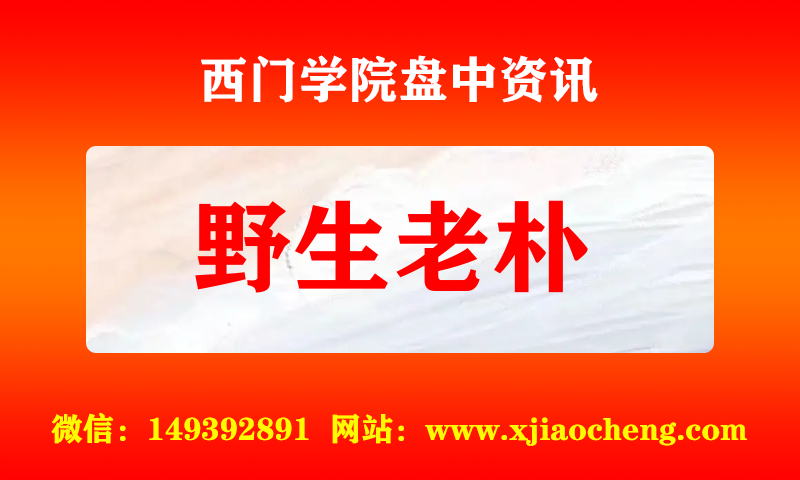 野生老朴 实时盘中直播圈子实盘资讯官方付费直播 钉钉群实时转发无延迟