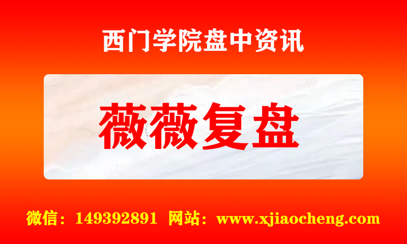 薇薇复盘 实时盘中直播圈子实盘资讯官方付费直播 钉钉群实时转发无延迟