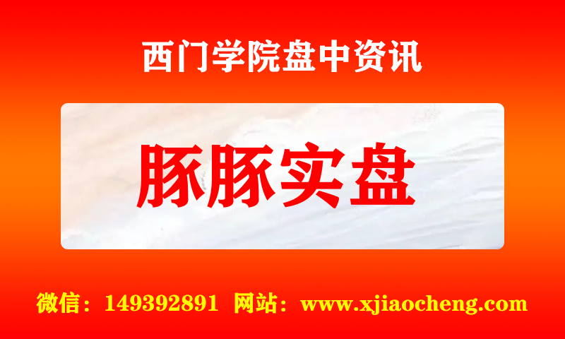 豚豚实盘 实时盘中直播圈子实盘资讯官方付费直播 钉钉群实时转发无延迟