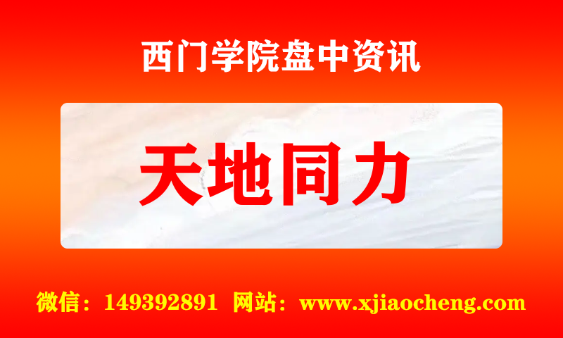 天地同力 实时盘中直播圈子实盘资讯官方付费直播 钉钉群实时转发无延迟