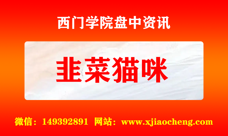 韭菜猫咪 实时盘中直播圈子实盘资讯官方付费直播 钉钉群实时转发无延迟